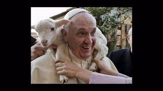 Pope Francis – The Smell of the Sheep (Br. Fred Mueller, FSC)